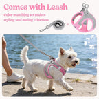 rabbitgoo Dog Harness Small Sized and Leash Set, Step-in Puppy Pet Vest | Light, Soft, Breathable Air Mesh, Easy on and Remove with Hook & Loop, Secure Reflective for Walking, Light Pink & Gray XXS