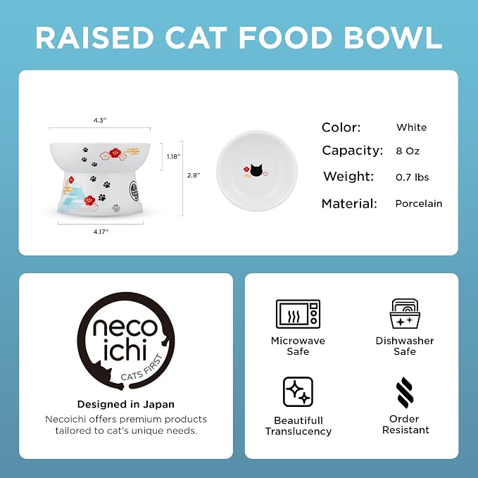 Necoichi Ceramic Elevated Cat Food Bowl (Fuji, Regular Flat)