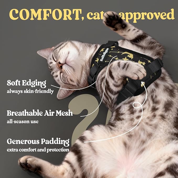 rabbitgoo Cat Harness and Leash Set, Escape Proof Vest, Lunar Prowl | Soft Breathable Mesh, Easy Adjustable Fit, Snap Buckles, Sturdy Clip, Reflective Strips, for Average Cats Walks, S