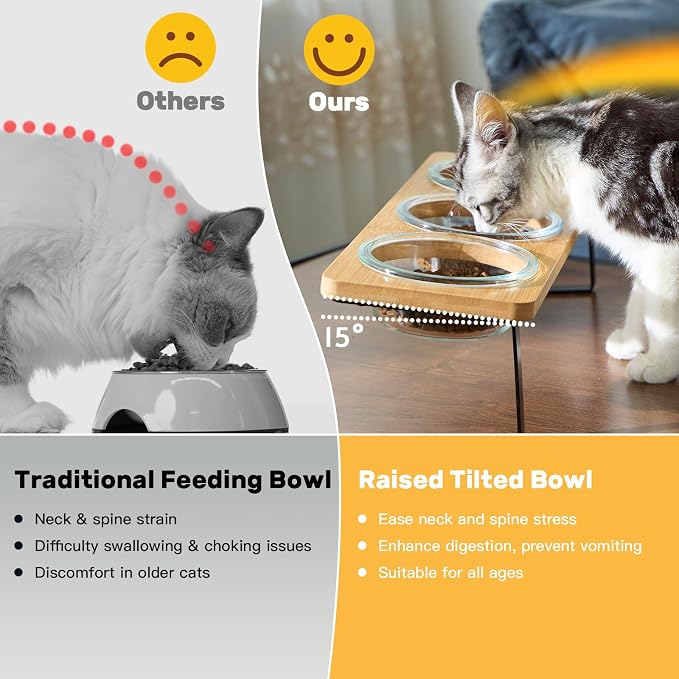 Elevated Cat Bowls, 15° Tilted Cat Food Bowl | Includes 3 Glass bowls, Bamboo Board and Metal Stand with Anti-Slip Design for Stable Feeding of Cats and Puppies