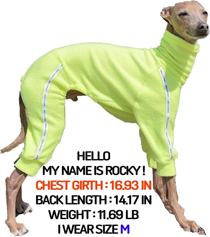 D Doggy Star Italian Greyhound Clothes Stretchy Towel Sports Onesie Outfit Whippet for Dog Coat (M,TWL Neonyellow)