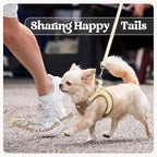 rabbitgoo Dog Harness Small Sized and Leash Set, Step-in Puppy Pet Vest | Light, Soft, Breathable Air Mesh, Easy on and Remove with Hook & Loop, Secure Reflective for Walking, Brown & Beige M