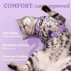 rabbitgoo Cat Harness and Leash Set, Escape Proof Vest, Purr-ple Daisy | Soft Breathable Mesh, Easy Adjustable Fit, Snap Buckles, Sturdy Clip, Reflective Strips, for Small & Average Cats Walks, Xs