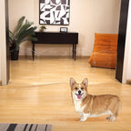 Clear Acrylic Freestanding Dog Gates for the House – Folding 4-Panel Pet Gates for Doorways, Stairs, and Rooms, Transparent Indoor Barrier for Dogs, Puppies, and Cats