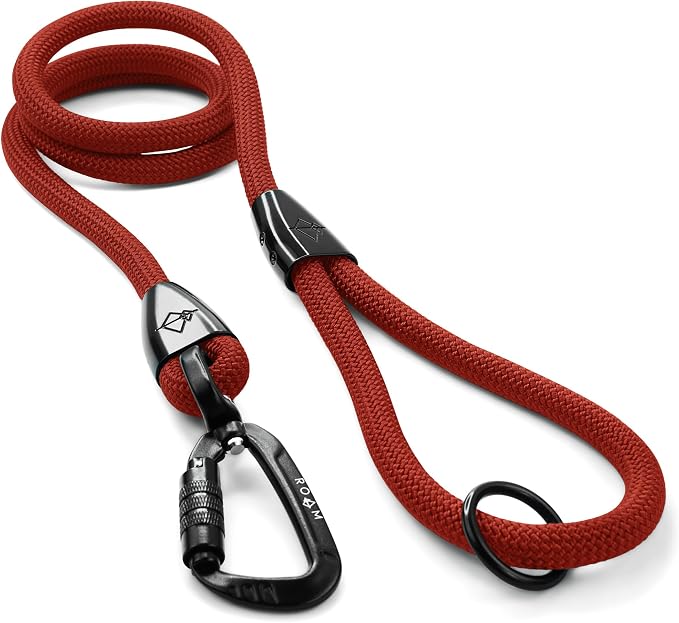 MADE TO ROAM Premium Explorer Leash - Climbing Rope Leash with Autolocking Aviation Aluminum Carabiner - Texas Flair, 4ft
