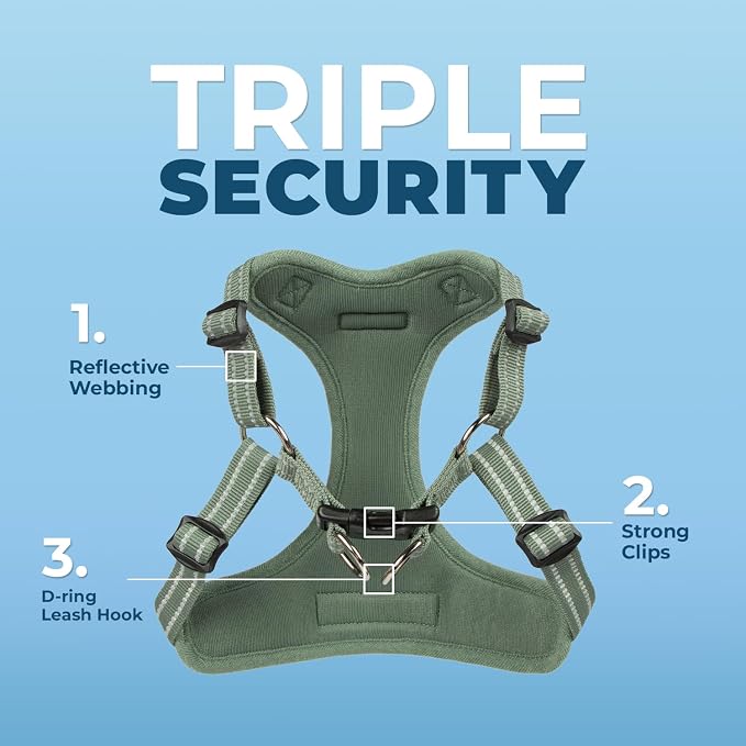 Best Pet Supplies Voyager Adjustable Step-in Flex Breathable Mesh Dog Harness for Small Medium Large Dogs Leash Set (Moss Green), XS