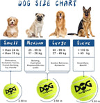 INSUM Squeaky Tennis Balls for Dogs 6 Pack 2.5" Squeaky Balls for Dogs | SGS Non-Toxic Test Pass, Multi Bright Colors Perfect for Outdoor & Indoor Play