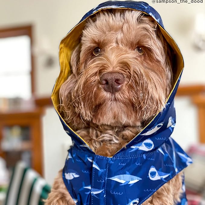 Lucy & Co. Reversible Raincoat for Dogs & Pets - Dog Raincoat - Fashionable and Comfy Water Resistant Adjustable Poncho for Canines. Multiple to fit All Types of Dog Breeds