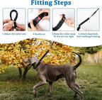 Mayerzon Martingale Dog Collar No Pull, Black, XL | Neck Cir 22"-27.5" | Patented Anti Pull Collar for Small Medium Large Dogs, Buckle, For Walking Training, Adjustable, Hidden Design, 2.5mm Links