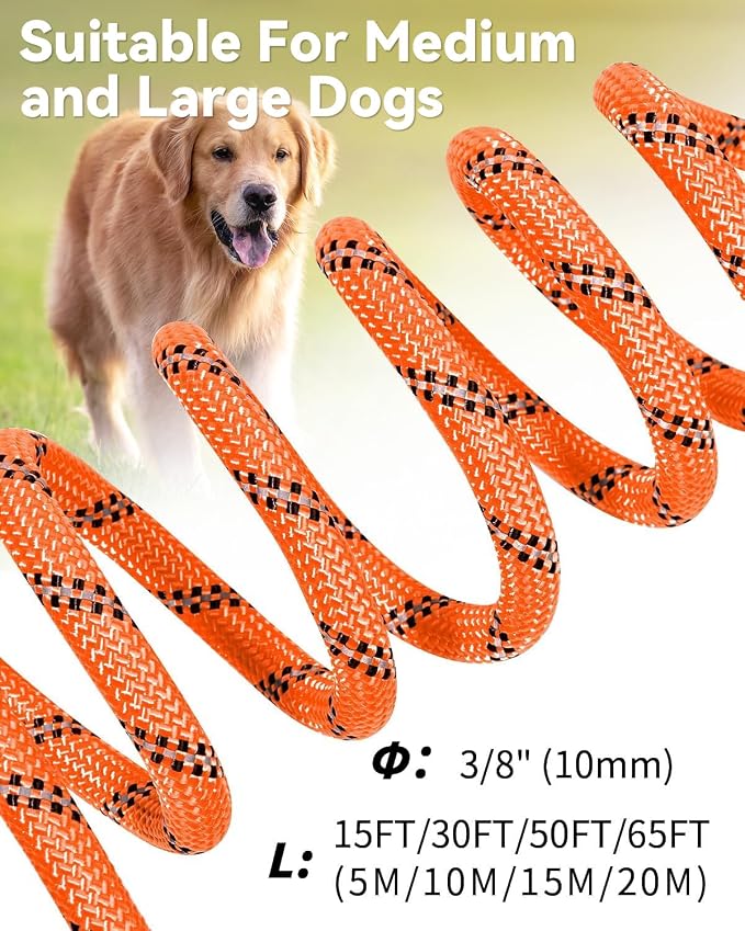 Joytale Long Dog Leash for Yard Tie Out & Recall Training, Orange, 65FT | Secure Locking Carabiner, Removable Padded Handle, Reflective Webbing for Night Safety, Ideal for Outdoor Play and Camping