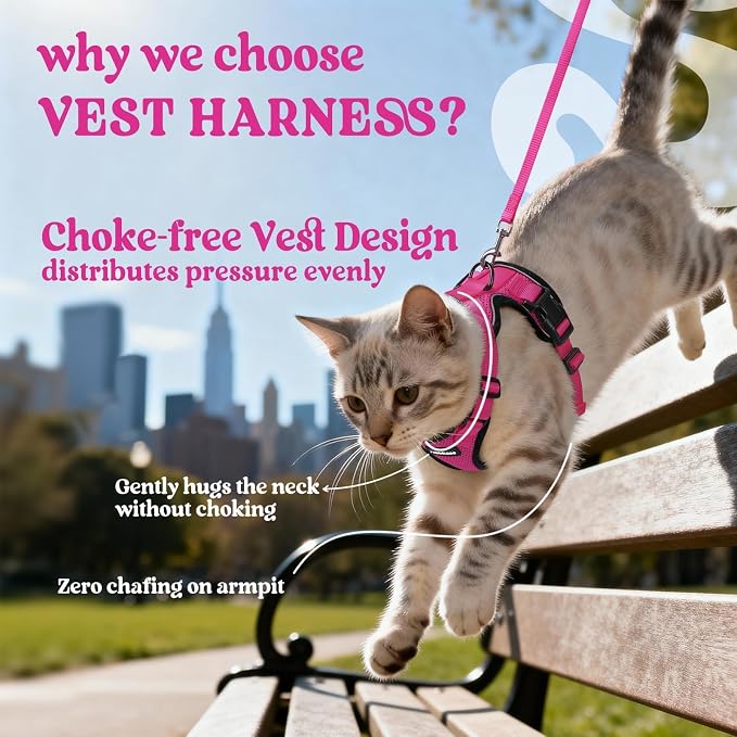 rabbitgoo Cat Harness and Leash Set, Escape Proof Vest, Rose Red | Soft Breathable Mesh, Easy Adjustable Fit, Snap Buckles, Sturdy Clip, Reflective Strips, for Medium to Large Cats Walks, M