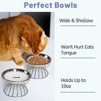 Cat Bowls, Elevated Bowl, Raised Ceramic Dish with Metal Stand, Pet Water or Food Feeding Station for Indoor Cats, Kitten,Dishwash Safe