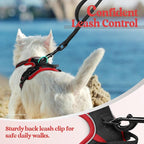 rabbitgoo Dog Harness, No Pull for Small Dogs with 2 Leash Clips, Pet Vest | No Choke with Handle, Adjustable Soft Padded, Reflective, Easy Control for Walking, Black & Red, X-Small