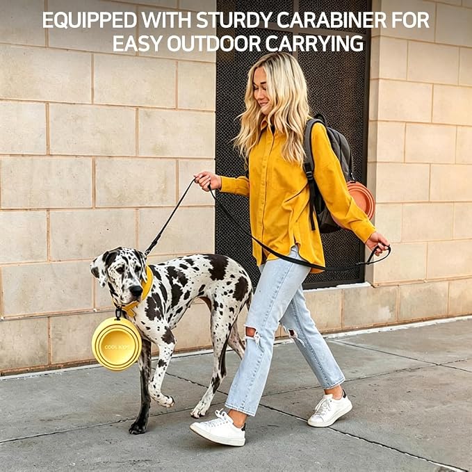 Cool Kids Collapsible Dog Bowl Travel Portable Anti-Tip Double-Sided | 2-In-1 Slow Feeder & Hydration, Catnip Scent, Abs+Tpe Sturdy Build, Fits Small Medium Pups, Hiking Camping Gear