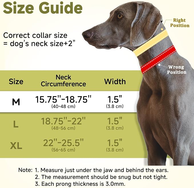 Mayerzon Martingale No Pull Dog Collar with Alloy Buckle, Black, M, 3mm | For Medium Large Dogs that Pull, Patented Dog Walking Training Collar, Thick Foam Padding, Reflective, Adjustable, 1.5'' Wide