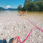 Waterproof Dog Training Leash 50FT 30FT 15FT 10FT 5FT Heavy Duty Recall Long Lead for Large Medium Small Dogs (15FT, Pink)