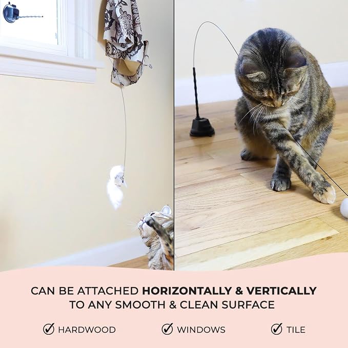 Whiskertons Interactive Bird Simulation Cat Toy Set, Interactive Cat Toys for Indoor Cats, Cat Feather Toy, Self-Holding Suction Base, 5 Replacement Birds, Feathers & Bells, Realistic Bird Impression
