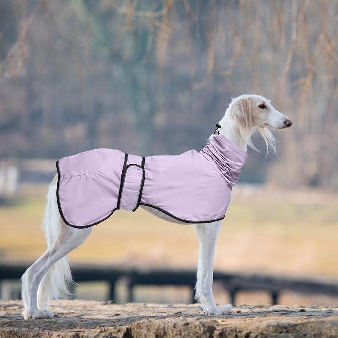 Greyhound Whippet Raincoat Waterproof with Reflective Stripe high Neck fit for Italian Greyhounds Whippets Long Back Breeds - Purple - XXXL
