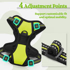 rabbitgoo Dog Harness No Pull with 2 Leash Clips, Adjustable Soft Padded, Reflective Oxford No Choke Pet Vest with Easy Control Handle for Puppy, Green, XS | No Choke with Handle, Adjustable Soft Padded, Reflective, Easy Control for Walking, Wild Lime,...