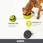 Dog Bowl with Spill-Proof Travel Lid, Yellow Green, 7-Cup Bowl | Yellow Green 7-Cup Dog Bowl, Spill-Proof Travel Lid, BPA-Free, Rust-Proof, Shock-Resistant, Stackable and Dishwasher Safe