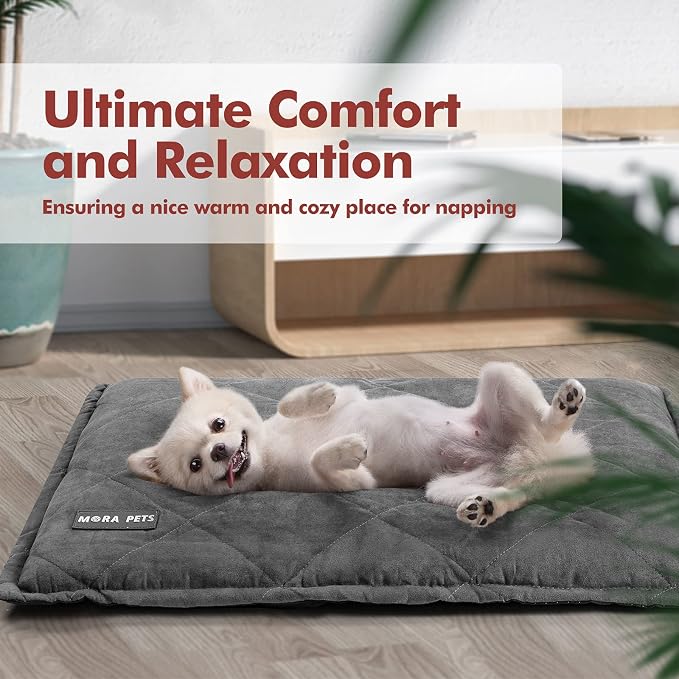 Mora Pets Self Heating Cat Bed Self Warming Cat Pad Thick Thermal Pet Bed Mat 24 x 18 Inches with Removable Cover Machine Washable Ultra Warm Mat for Outdoor Indoor Cats and Small Dogs | Thick Thermal Pet Bed Mat, Removable Machine Washable Ultra Warm ...