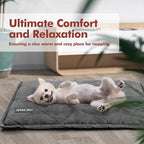 Mora Pets Self Heating Cat Bed Self Warming Cat Pad Thick Thermal Pet Bed Mat 24 x 18 Inches with Removable Cover Machine Washable Ultra Warm Mat for Outdoor Indoor Cats and Small Dogs | Thick Thermal Pet Bed Mat, Removable Machine Washable Ultra Warm ...