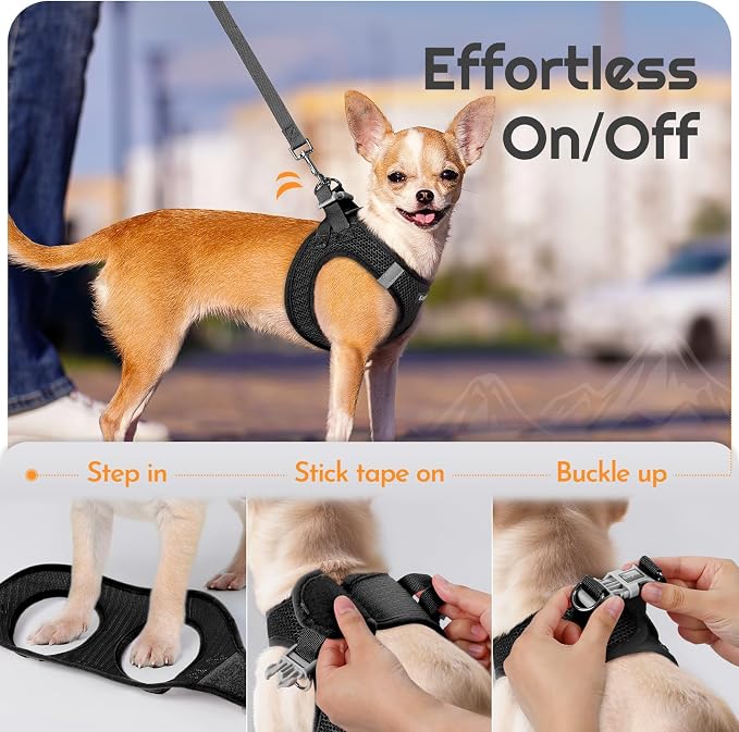 Eagloo Small Dog Harness and Leash Set, Step in Medium Small Puppy Pet Vest | Light, Soft, Breathable Air Mesh, Easy on and off with Hook & Loop, Reflective for Safe Walking, Black, L
