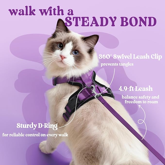 rabbitgoo Cat Harness and Leash Set, Escape Proof Vest, Purple | Soft Breathable Mesh, Easy Adjustable Fit, Snap Buckles, Sturdy Clip, Reflective Strips, for Small & Average Cats Walks, Xs