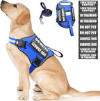 Service Dog Harness and Leash Set, Training Dog Vest with 10 Dog Patches, Emotional Support Therapy Dog Vest Harness for Small Medium Large and Extra Large Dogs(Blue, L)