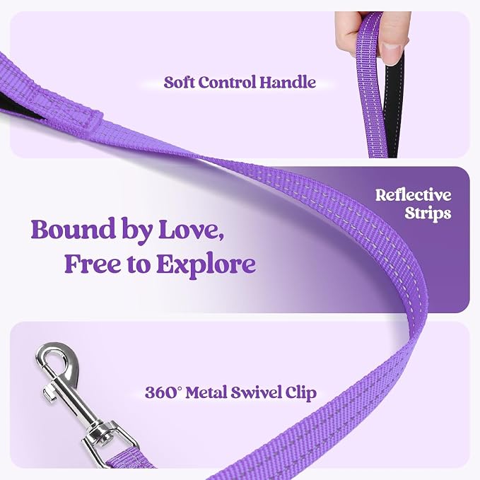 rabbitgoo Dog Harness Small Sized and Leash Set, Step-in Puppy Pet Vest | Light, Soft, Breathable Air Mesh, Easy on and Remove with Hook & Loop, Secure Reflective for Walking, Purple M