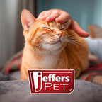 Jeffers Pet Vanilla Walnut Conditioning Dog & Cat Shampoo, 17 oz – Deodorizing Grooming Wash, Coconut Based Soap Free Formula, Walnut Oil & Vanilla Extract, Vitamins A D E, Concentrated Coat Care