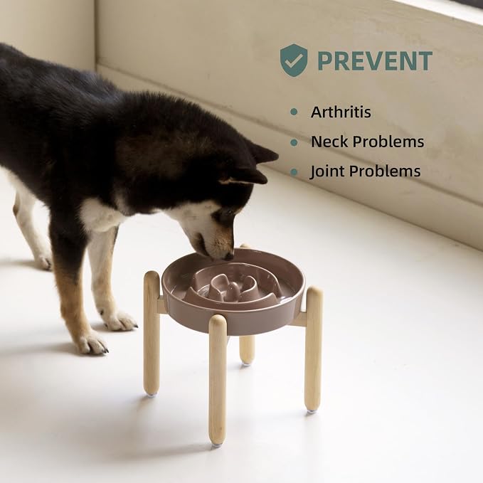 Havniva Elevated Slow Feeder Dog Bowls, Ceramic Dog Bowl Slow Feeder | 1.6 Cups Raised Slow Feeding Bowl for Medium Breed, Puzzle Dog Food Bowl with Wooden Stand, Non-Slip, Anti-Choking