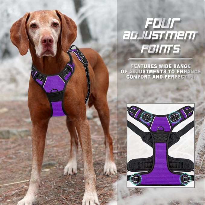 BARKBAY No Pull Dog Harness Front Clip Heavy Duty Reflective Easy Control Handle for Large Dog Walking(Purple,S)