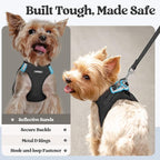rabbitgoo Dog Harness Medium Sized and Leash Set, Step-in Puppy Pet Vest | Light, Soft, Breathable Air Mesh, Easy on and Remove with Hook & Loop, Secure Reflective for Walking, Black XL