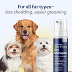 Honest Paws Dog Dry Shampoo - Waterless No Rinse Foaming Formula Reducing Itch Cleanse Hydrate Nourish Dry Skin and Smelly Coat Help Decrease Odor Shedding and Allergies - Oatmeal & Lavender - 6.3 oz