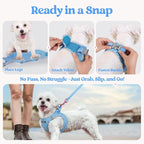 rabbitgoo Dog Harness Small Sized and Leash Set, Step-in Puppy Pet Vest | Light, Soft, Breathable Air Mesh, Easy on and Remove with Hook & Loop, Secure Reflective for Walking, Blue & Plaid Trim M