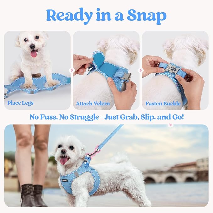rabbitgoo Dog Harness Small Sized and Leash Set, Step-in Puppy Pet Vest | Light, Soft, Breathable Air Mesh, Easy on and Remove with Hook & Loop, Secure Reflective for Walking, Blue & Plaid Trim S