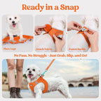 rabbitgoo Dog Harness Small Sized and Leash Set, Step-in Puppy Pet Vest | Light, Soft, Breathable Air Mesh, Easy on and Remove with Hook & Loop, Secure Reflective for Walking, Orange XXXS