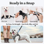 rabbitgoo Dog Harness Medium Sized and Leash Set, Step-in Puppy Pet Vest | Light, Soft, Breathable Air Mesh, Easy on and Remove with Hook & Loop, Secure Reflective for Walking, Midnight Daisy L