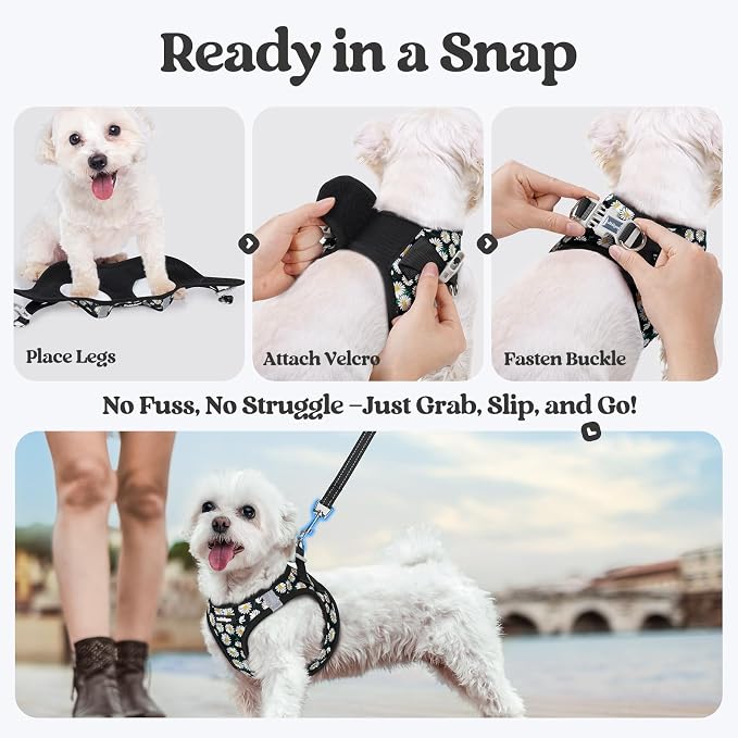 rabbitgoo Dog Harness Small Sized and Leash Set, Step-in Puppy Pet Vest | Light, Soft, Breathable Air Mesh, Easy on and Remove with Hook & Loop, Secure Reflective for Walking, Midnight Daisy XXS