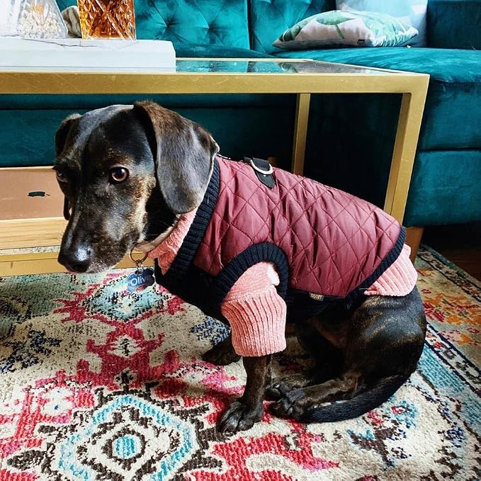 Gooby Fashion Vest Dog Jacket - Purple, X-Small - Warm Zip Up Dog Bomber Vest with Dual D Ring Leash Water Resistant for Small to Medium Dogs