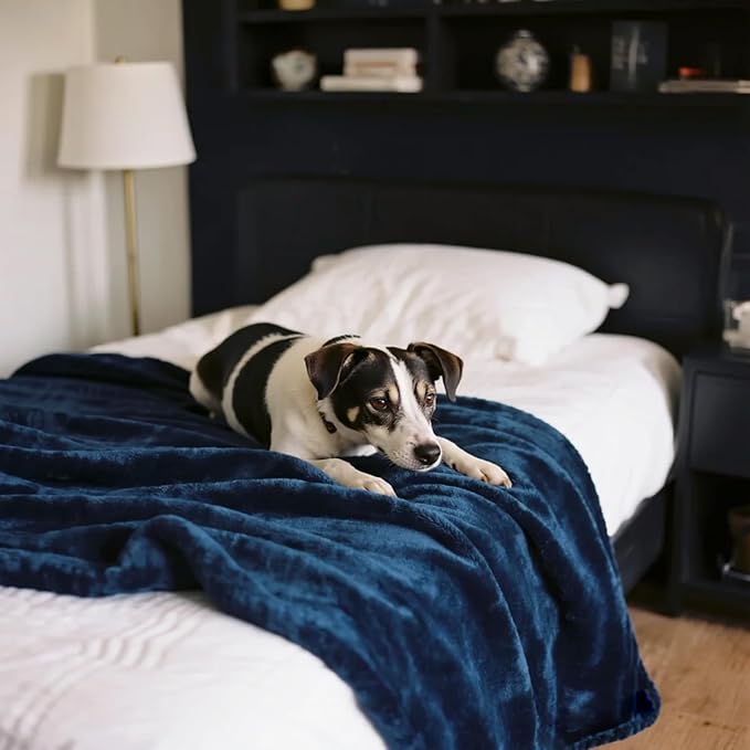 gogobunny Waterproof Bed Blanket, Reversible Sherpa Fleece Throw Blanket for Dog Puppy Cat, Furniture Cover Protects Bed Couch Sofa from Liquid Pee and Pet Fur (Navy Blue, 50x60 inches)