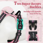 rabbitgoo Dog Harness, No Pull for Large Dogs with 2 Leash Clips, Pet Vest | No Choke with Handle, Adjustable Soft Padded, Reflective, Easy Control for Walking, Pink Rose, X-Large
