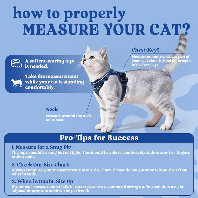 rabbitgoo Cat Harness and Leash Set, Escape Proof Vest, Cosmic Ace | Soft Breathable Mesh, Easy Adjustable Fit, Snap Buckles, Sturdy Clip, Reflective Strips, for Medium to Large Cats Walks, M