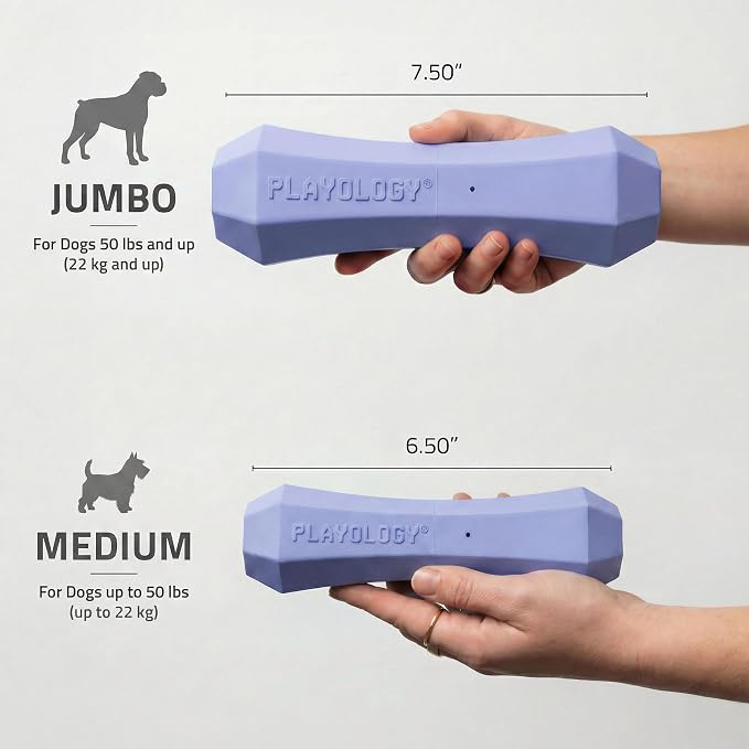 Playology Dog Toys | Squeaky Chew Stick for Large Dogs | Blueberry Scented Jumbo Fetch Toy | Squeaky Dog Chew Toy
