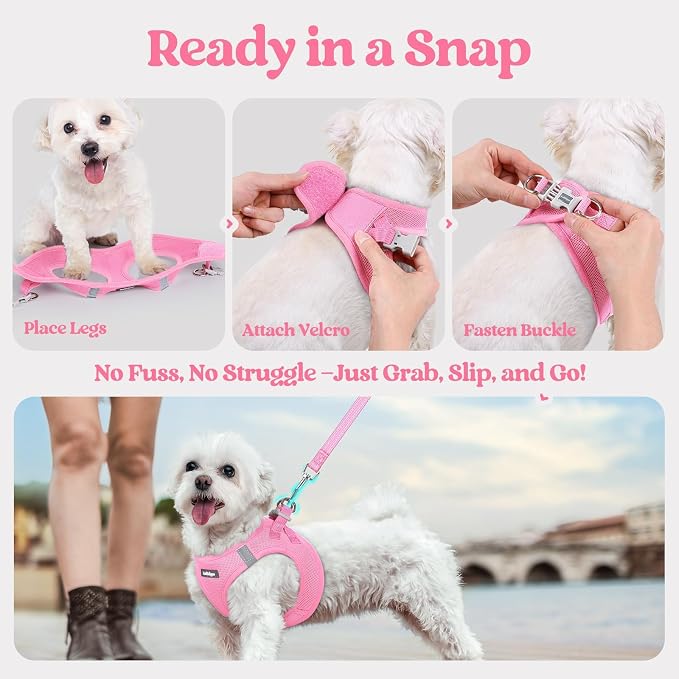 rabbitgoo Dog Harness Small Sized and Leash Set, Step-in Puppy Pet Vest | Light, Soft, Breathable Air Mesh, Easy on and Remove with Hook & Loop, Secure Reflective for Walking, Light Pink XS