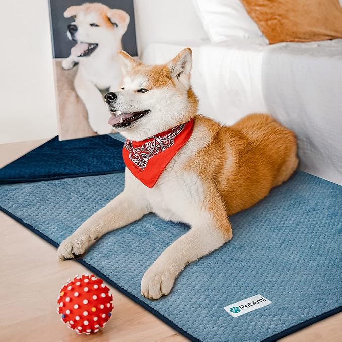 PetAmi Waterproof Dog Blanket, Leakproof Pet Blanket, Twin 60x80 Navy Blue | XL for Large Dogs, Furniture Sofa Couch Cover Protector, Fleece Cat Throw Bed Crate Kennel, Reversible Washable Soft Plush