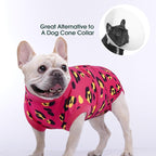 Kuoser Dog Recovery Suit After Surgery, Spay Neuter Surgical Suit for Dogs | Post Surgery Anti-Licking Dog Onesie Protects Wounds and Incisions, E-Collar & Cone Alternative Bodysuit for Female Male Dogs