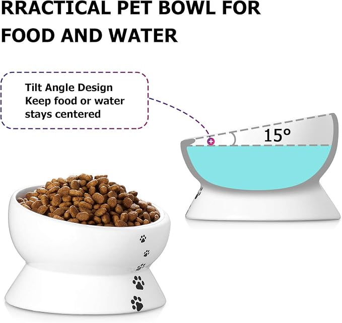 Y YHY Elevated Cat Food Bowl, Raised Food and Water Bowl for Cat and Small Dog, Tilted Ceramic Water Bowls No Spill,15oz, Dishwasher Safe