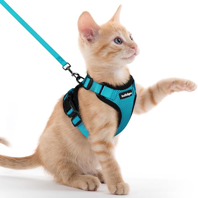 rabbitgoo Cat Harness and Leash Set, Escape Proof Vest, Teal | Soft Breathable Mesh, Easy Adjustable Fit, Snap Buckles, Sturdy Clip, Reflective Strips, for Kittens & Small Cats Walks, Xxs
